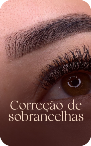 capas_copiar_3_1x